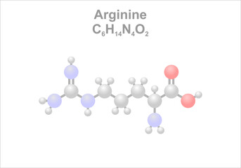 Arginine. Simplified scheme of the molecule