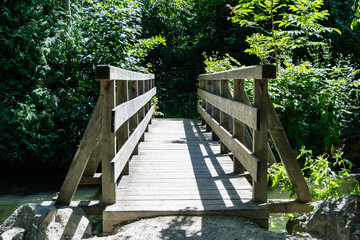 Wooden bridge across a leafy stream