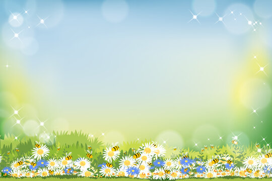 Spring field and wild flowers with family bee flying, Lovely card with sun shine,Summer background with blurry bokeh light effect. Template banner for Spring, Summer or Easter concept