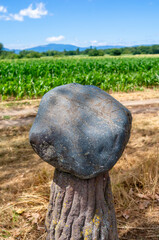Ensisheim, France - July 5, 2023:A replica of a meteorite that fell to earth in Ensisheim, Alsace,...
