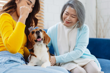 Happy asian senior woman retirement and daughter enjoying her dog pet in the home, Friendship pet and human lifestyle concept.