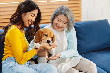 Happy asian senior woman retirement and daughter enjoying her dog pet in the home, Friendship pet and human lifestyle concept.