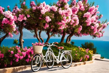 Fototapeta na wymiar bicycle and flowers in the city
