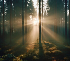 sunrise in the forest. AI Generated Images