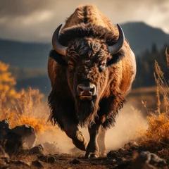 Fototapeten Bison in its Natural Habitat, Wildlife Photography, Generative AI © Vig