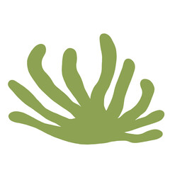 green seaweed vector png