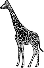 giraffe silhouette vector black and white | Illustration of a giant giraffe on white canvas