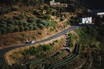 Road through the hills of the Douro Valley, Portugal.