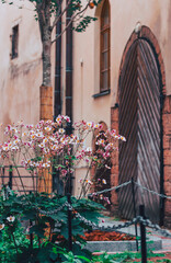 flowers in the street,landscape of a medieval city, with ancient gates and flowers