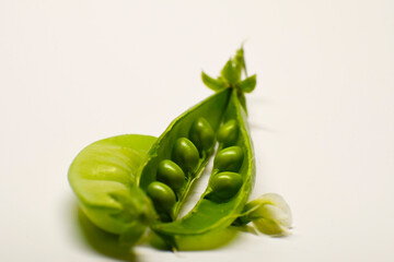 Two pods of green peas close-up. Closed and opened. Open doors with round bright green peas. White background. Three peas inside an open pod.