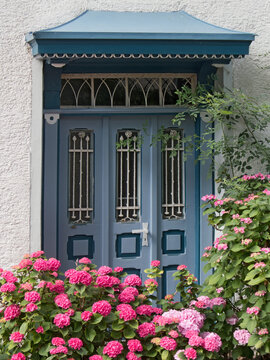 dekorative alte Haustüre mit Hortensienbüschen davor