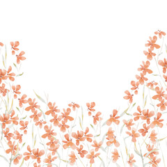 Orange Watercolor Wild Flower Background