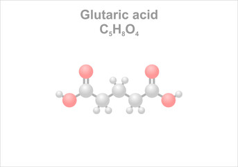 Glutaric acid. Simplified scheme of the molecule. Product of metabolism.