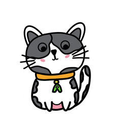 Cat action