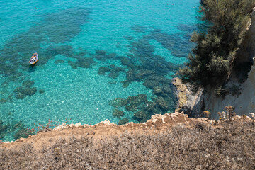 coral reef and sea