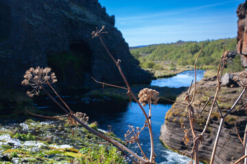 Fototapeta premium Gjáin tranquil, scenic valley with many small waterfalls, ponds and lava rocks, plus volcano views.