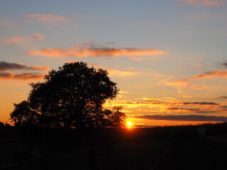 Atardecer en el Campo de Castilla, de tonos naranjas entre los árboles