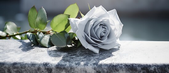 A funeral ceremony outdoors with a white rose on a grey granite tombstone, providing space for text.