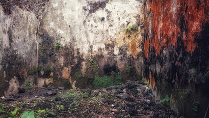 a photo of an old empty house with typical old walls