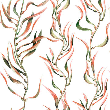 Seaweed kelp seamless pattern. Hand drawn watercolor plants botanical texture.