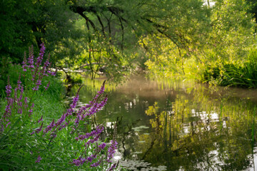 Small picturesque water stream