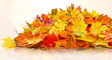 Naklejka na ściany i meble pile of orange fall leaves, autumn natural background