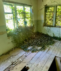 A room with broken windows in an abandoned house overgrown with grass