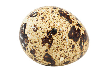 One quail egg isolated on white background. File contains clipping path.