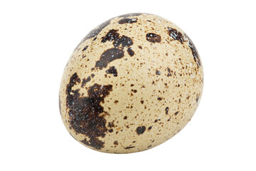 One quail egg isolated on white background. File contains clipping path.