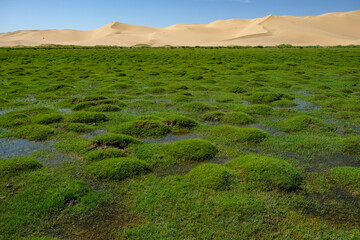 Khongor Sand Dunes in the Gobi Desert in Mongolia.