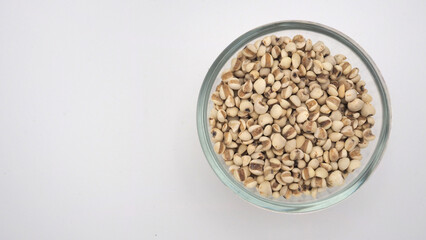 Job's Tears, also known as adlay and coix on white background. 