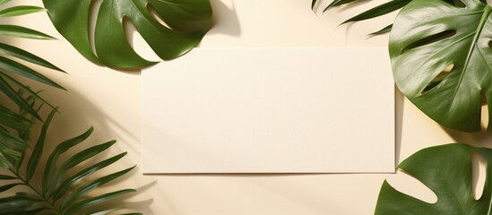 A mockup card with copy space and green leaves is placed on a beige background with sunlight shadow. It is a minimal business brand template for flat lay design, seen from a top view perspective.