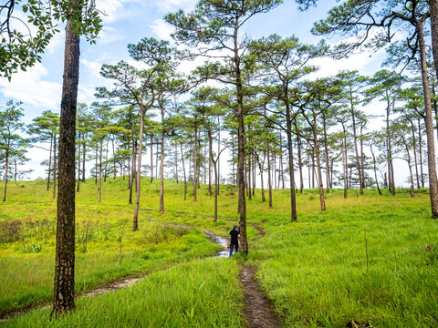 Uttaradit Province, Thailand - July, 24, 2023 : Scenic of Nature at Phu Soi Dao National Park, north of Thailand.