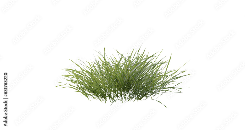 Poster bunches of grass on a transparent background. 3d rendering.