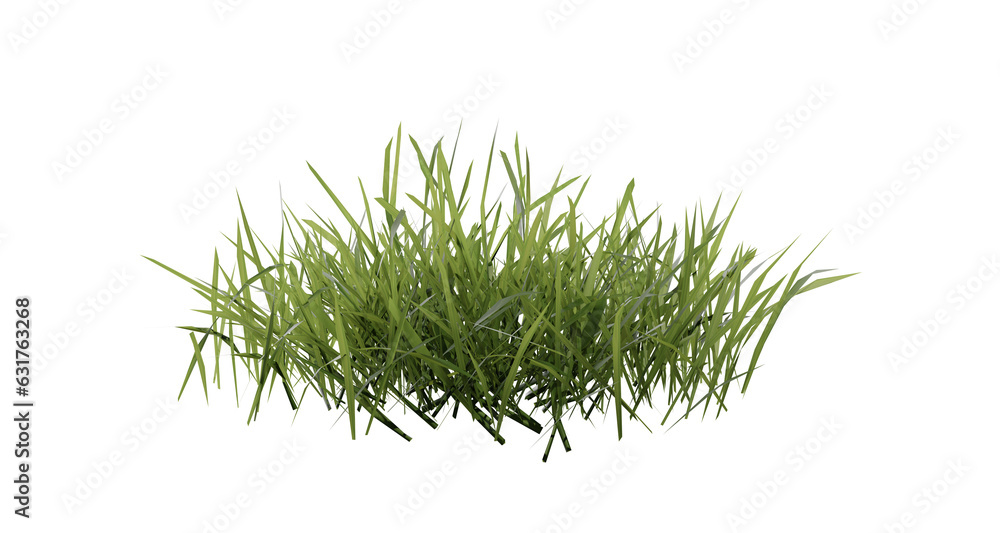 Poster bunches of grass on a transparent background. 3d rendering.