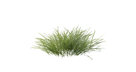 Bunches of grass on a transparent background. 3D rendering.	