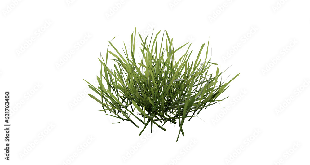 Poster bunches of grass on a transparent background. 3d rendering.