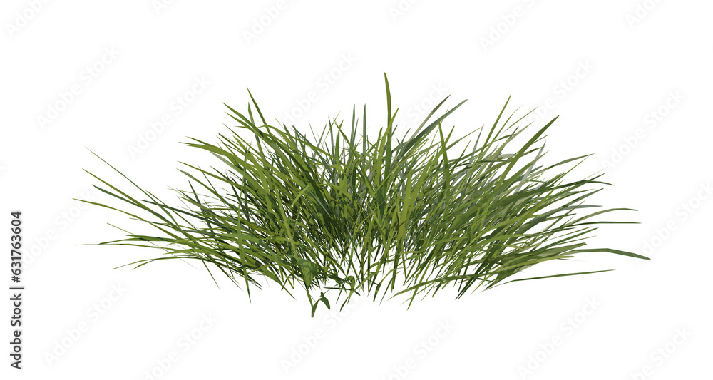 Poster bunches of grass on a transparent background. 3d rendering.
