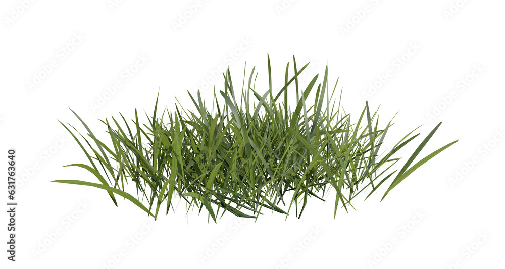 Poster bunches of grass on a transparent background. 3d rendering.