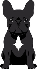 Frenchton Dog Icon