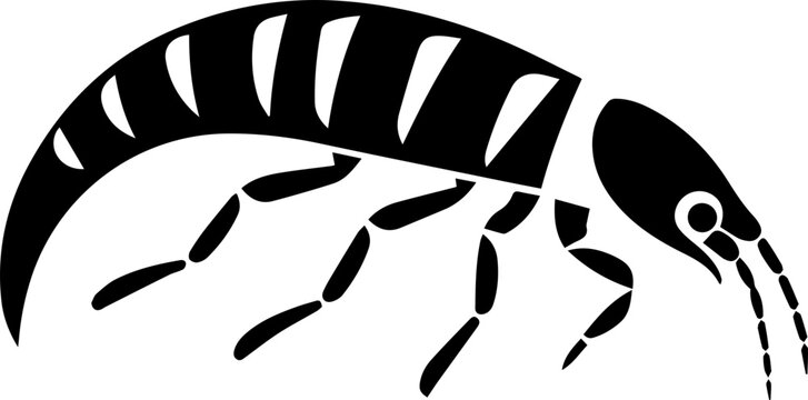 Eurypterus Scorpion Icon