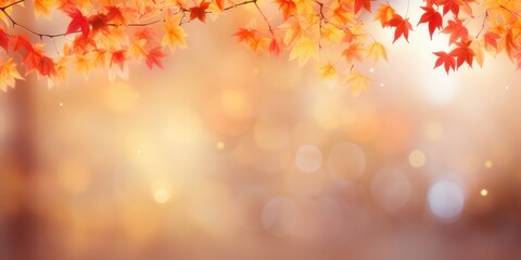 Obraz na płótnie Canvas Autumn blurred background with frame of orange, gold and red maple leaves on nature on background of sunlight with soft beautiful bokeh.