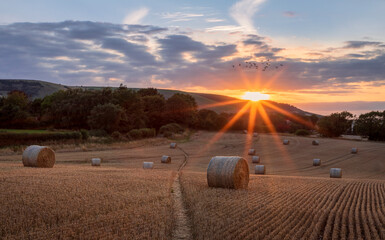 Sunset behind Kingston Ridge from the Rodmell Barley fields nestled in the south downs east Sussex...