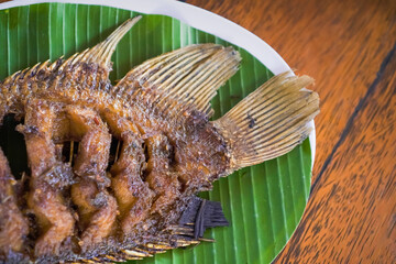 Ikan Gurame Bakar or grilled freshwater fish with chilli sauce and vegetable. Serving on white plate on wooden table. Indonesian food and cuisine. Delicious roasted Gouramy.
