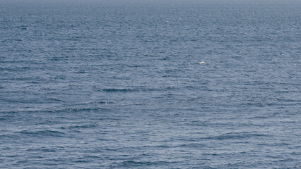 High angle shot of mediterranean sea azure color