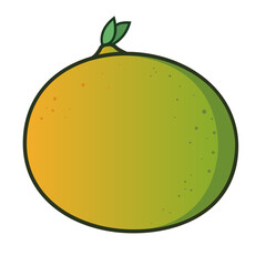 illustration of an orange