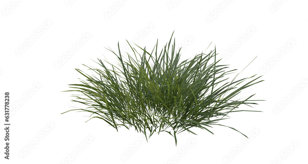 Poster bunches of grass on a transparent background. 3d rendering.