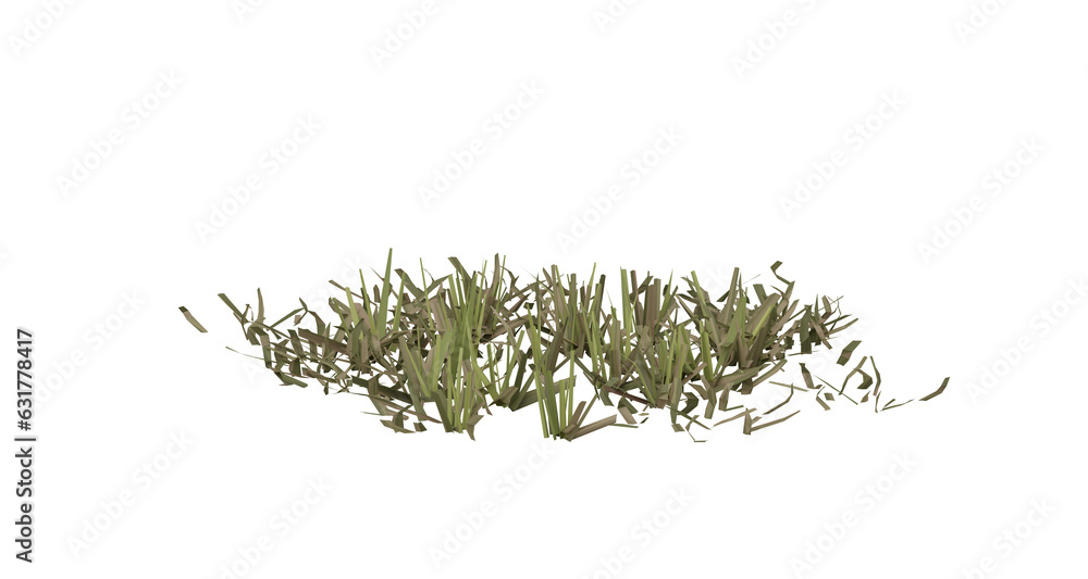 Poster bunches of grass on a transparent background. 3d rendering.