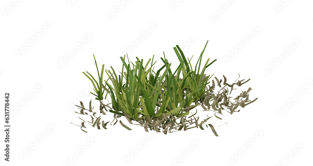 Poster bunches of grass on a transparent background. 3d rendering.