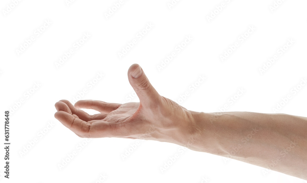 Wall mural Man hand to hold something isolated on white background